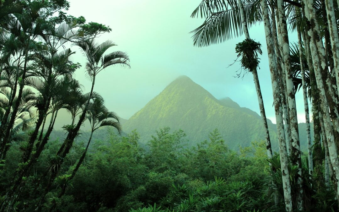 2ème Séminaire Club Elite Patrimoine Privé en Martinique !