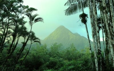2ème Séminaire Club Elite Patrimoine Privé en Martinique !